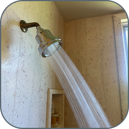 The Filtered Showerhead
